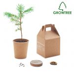 Zestaw ekologiczny - posadź sosnę GROWTREE™ - 50 szt. z nadrukiem MO6228